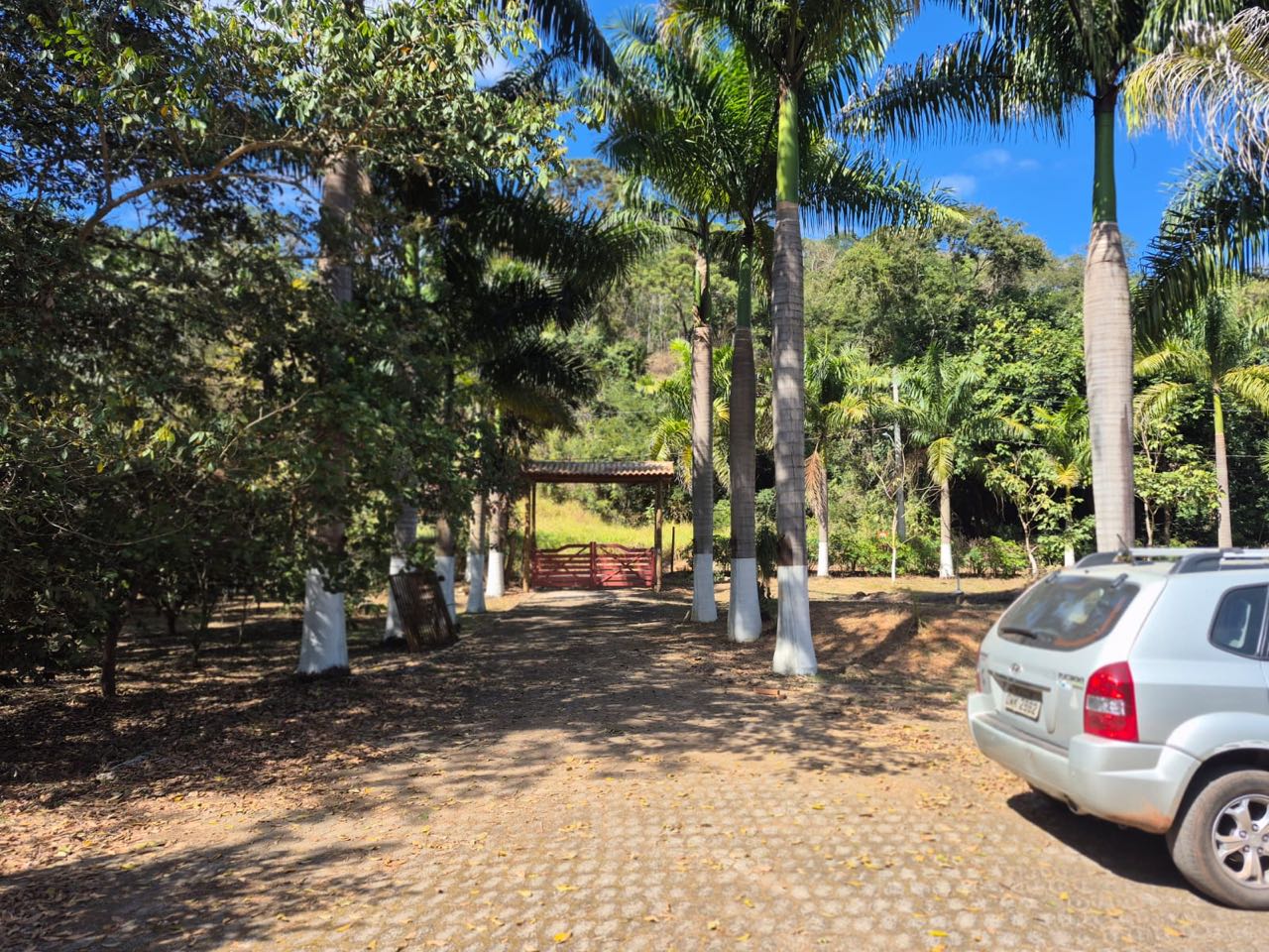Carro estacionado na sombra das palmeiras, dentro do sítio, perto do portão vermelho