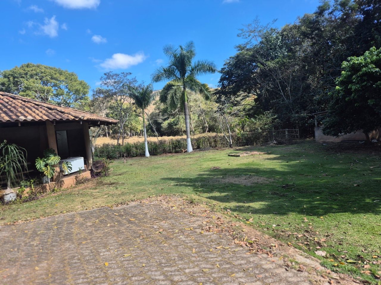 Gramado amplo do sítio com palmeiras e a área coberta à esquerda