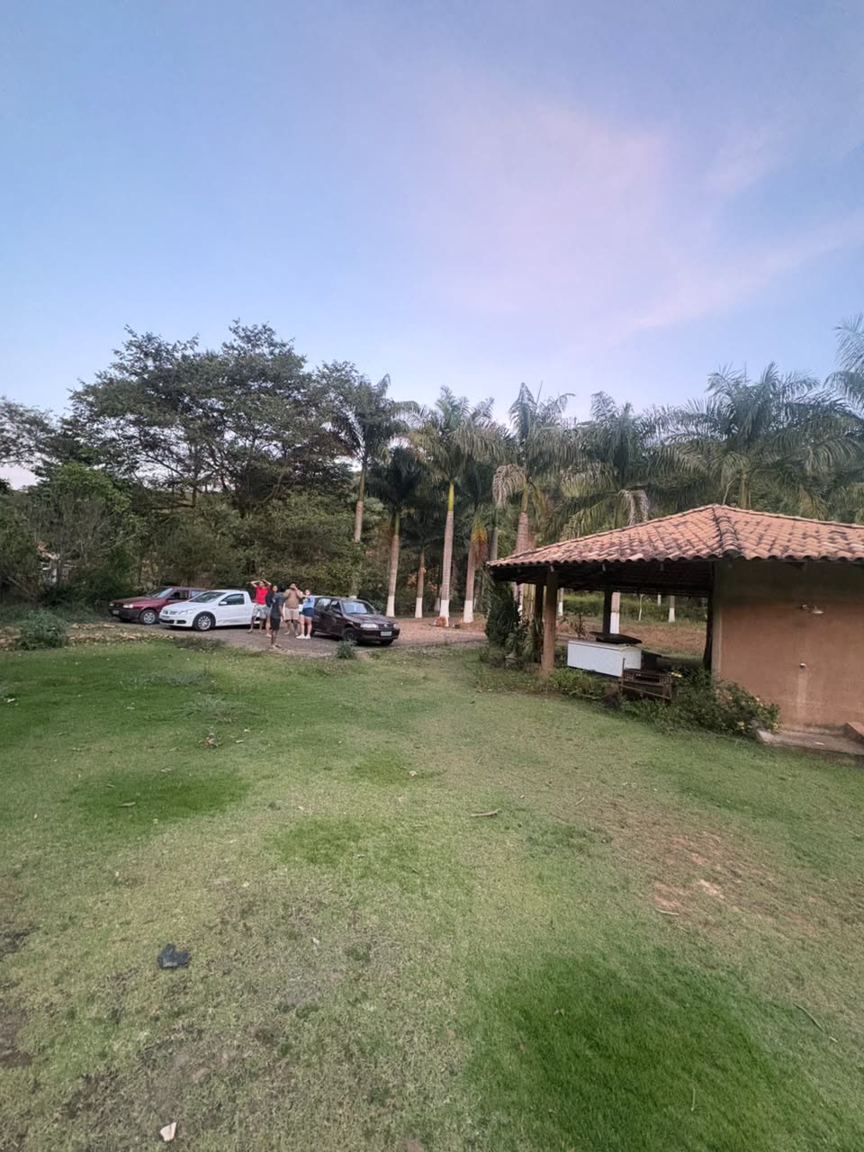 Gramado amplo do sítio com carros estacionados ao fundo