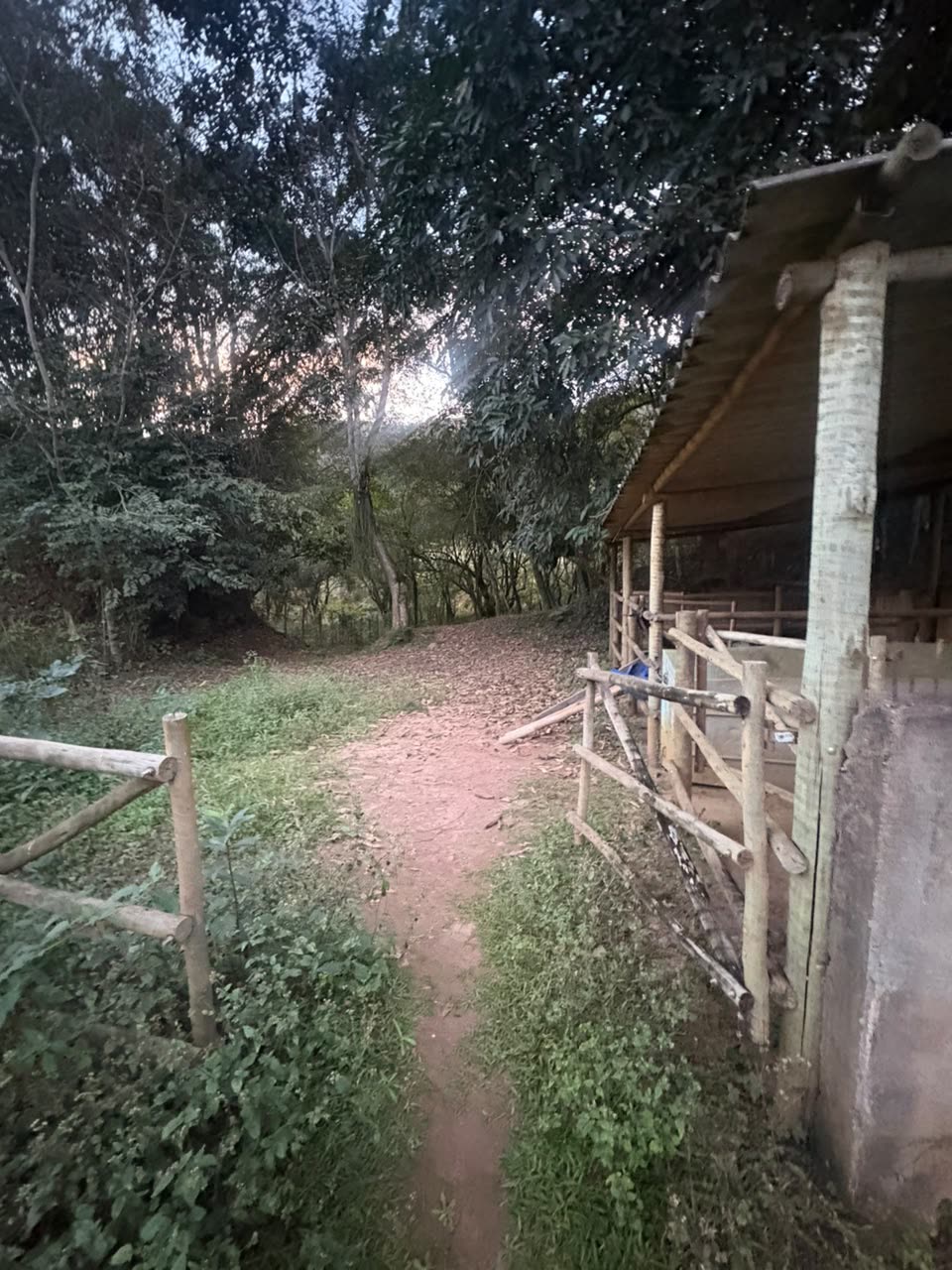 Porteira de madeira no caminho interno do sítio