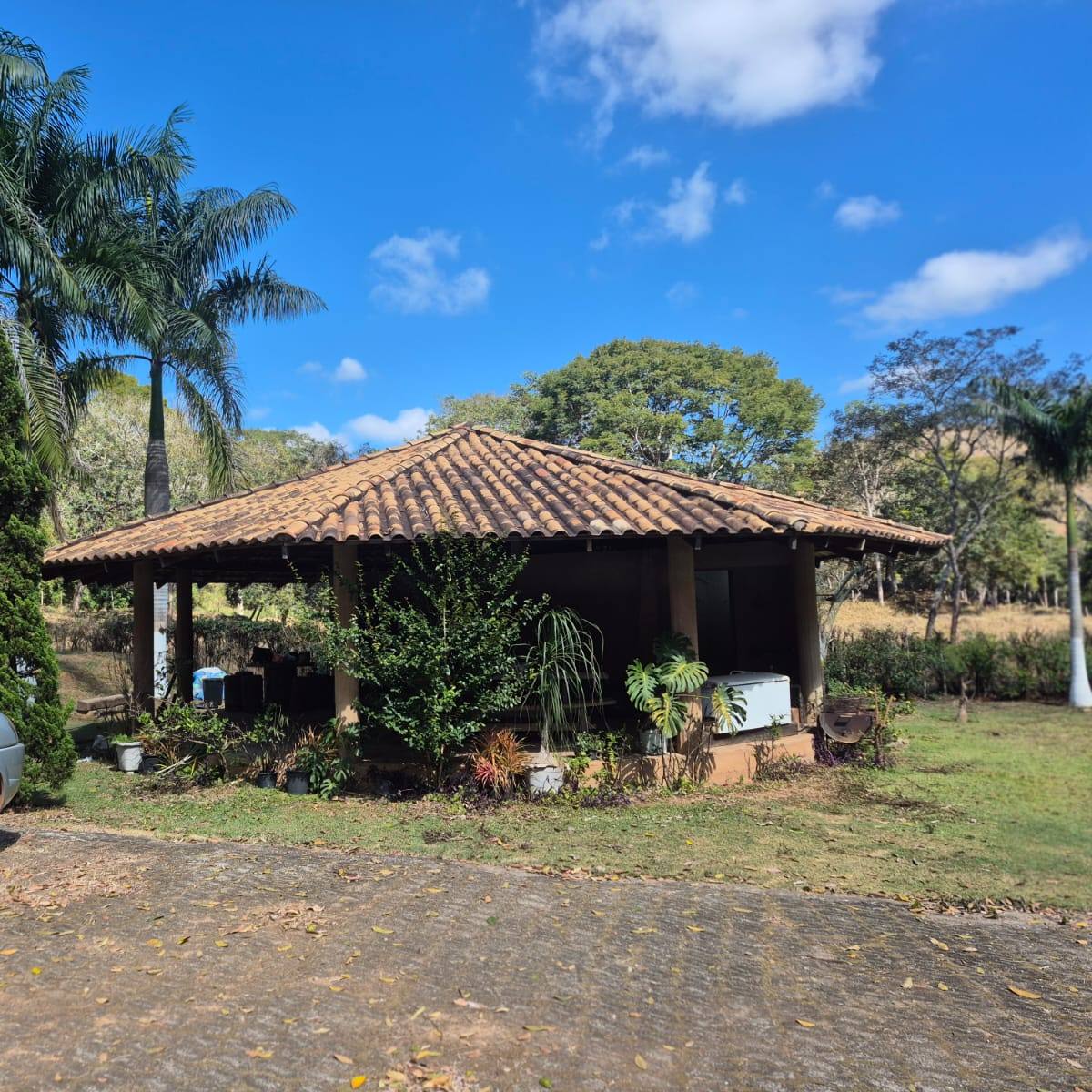 Quiosque de telha do sítio sob céu azul, com palmeiras ao redor